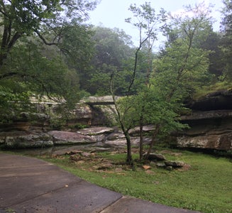 Camper-submitted photo from Dixon Springs State Park