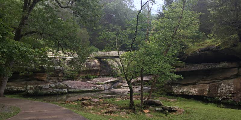 Camper submitted image from Dixon Springs State Park Campground
