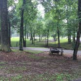 Review photo of Dixon Springs State Park Campground by Shelly S., June 25, 2018