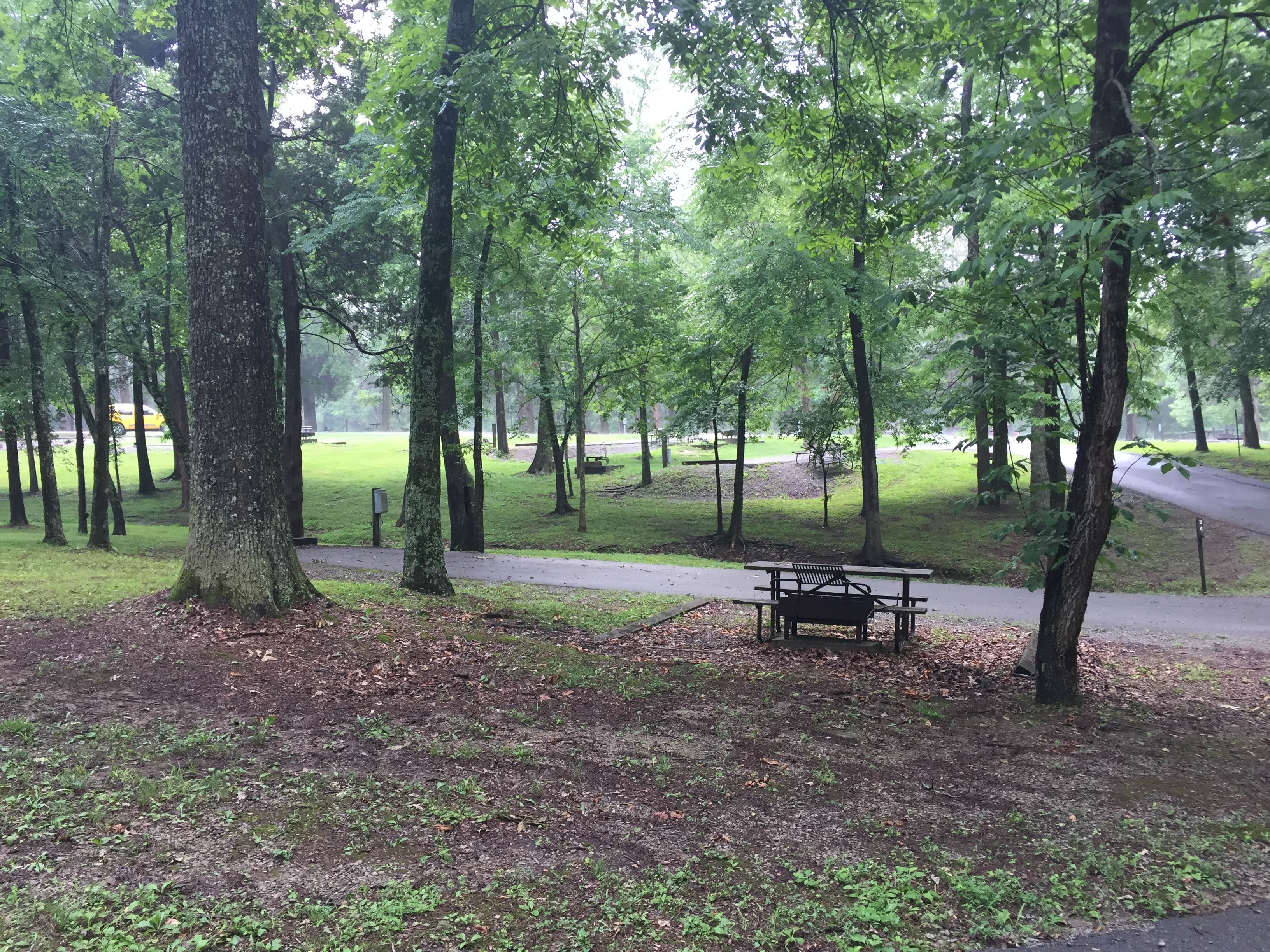 Camper submitted image from Dixon Springs State Park Campground - 4