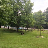 Review photo of Dixon Springs State Park Campground by Shelly S., June 25, 2018