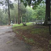 Review photo of Dixon Springs State Park Campground by Shelly S., June 25, 2018