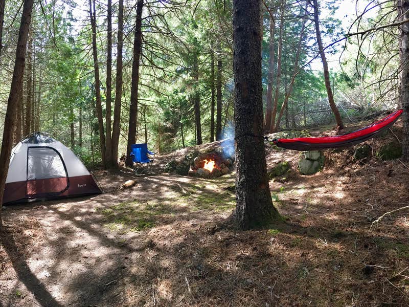 Tom B.'s photo at Acadia East Campground near Beddington, ME