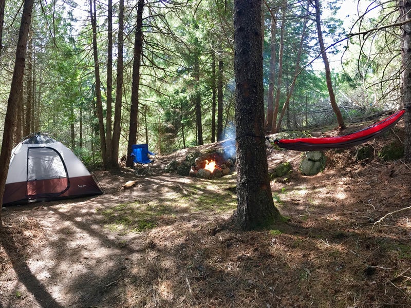 Camper submitted image from Acadia East Campground - 2
