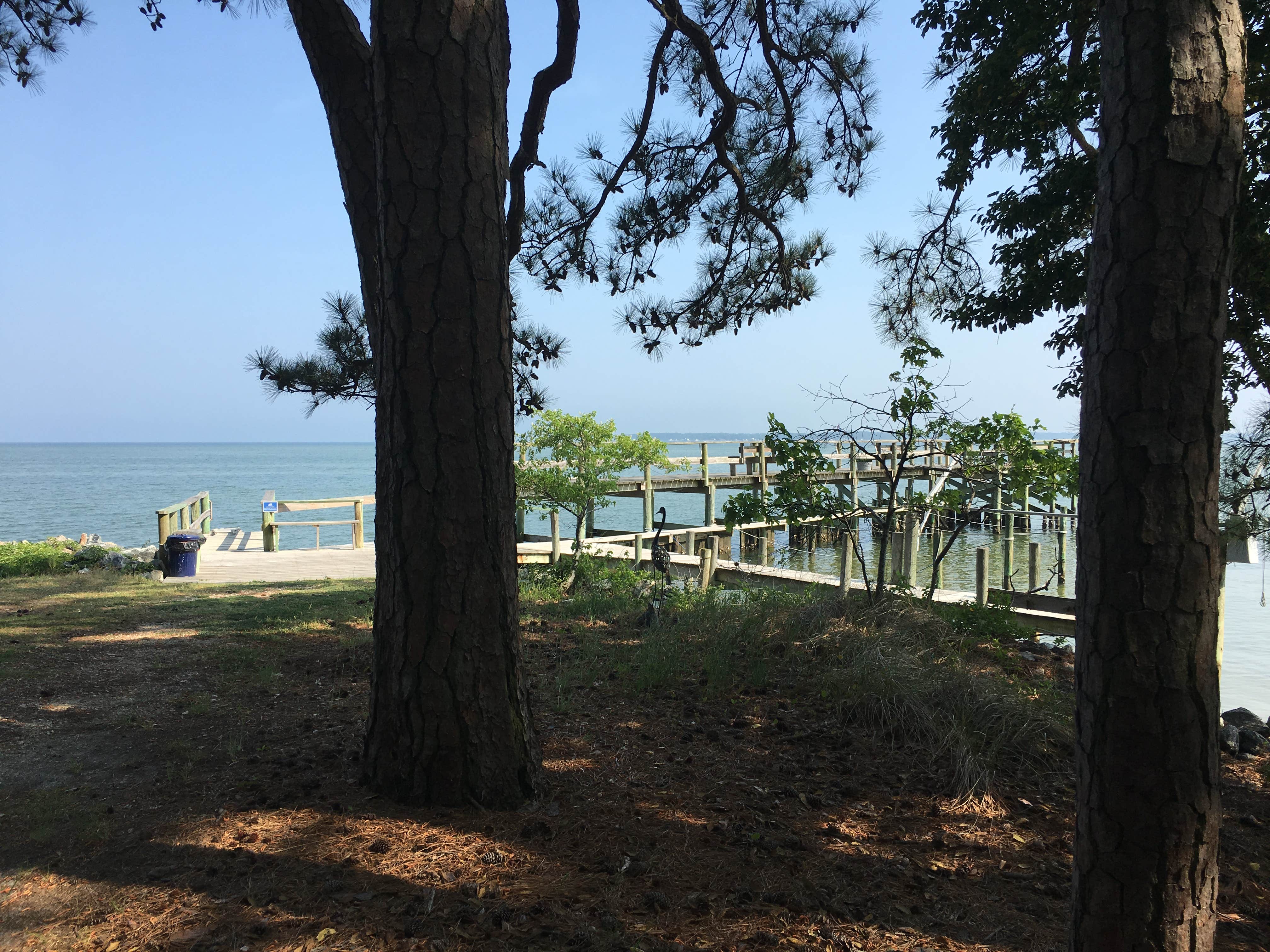 Camper-submitted photo at Cross Rip Camp near Mascot, VA