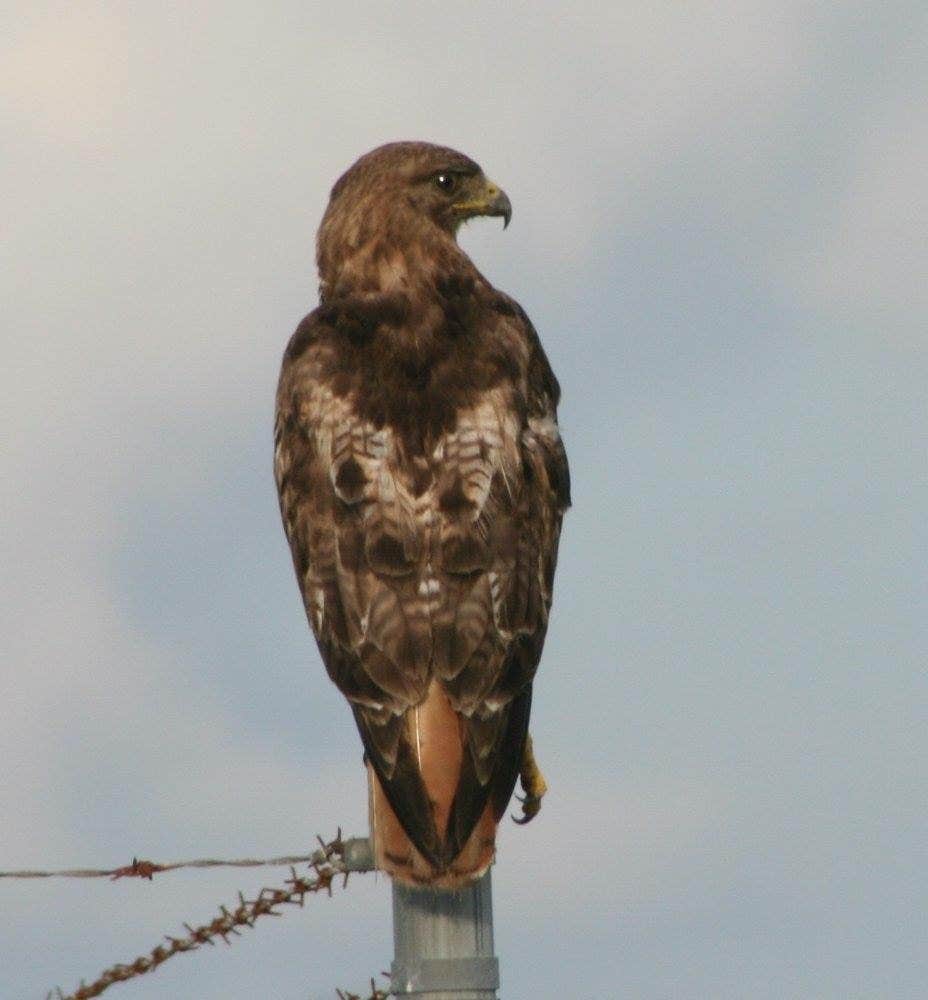Camper-submitted photo at The Colonies RV and Travel Park near Greenwood, VA