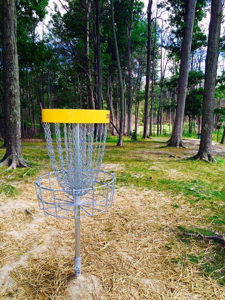 Mississinewa Lake Miami Recreation Area The Dyrt