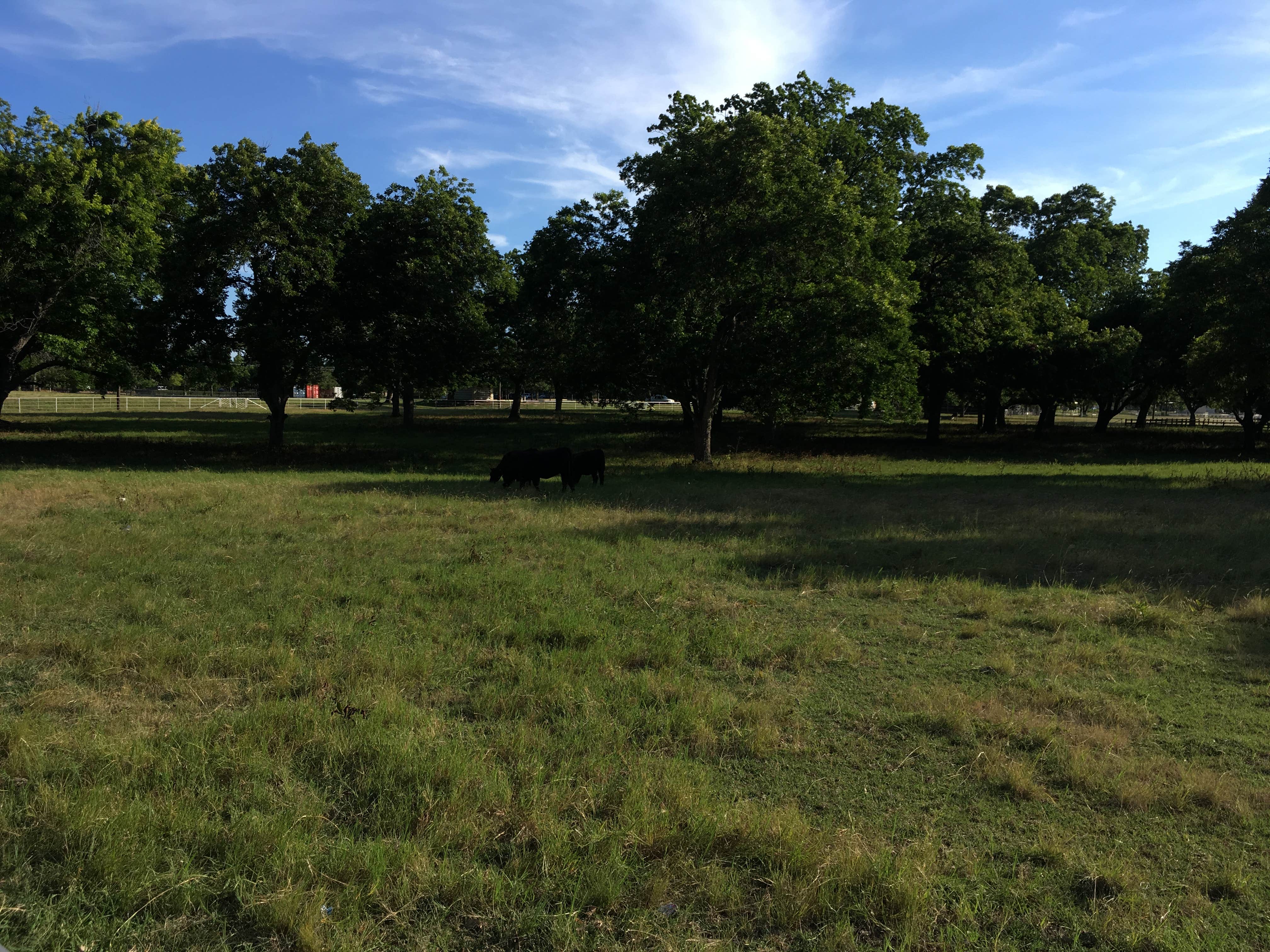 Camper-submitted photo at Pecan Park Riverside RV Park near Kyle, TX