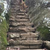 Review photo of Redbud Campground at Bell Smith Springs by Brittany B., June 25, 2018