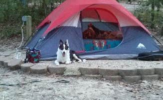 Kindred P.'s photo at Tunica Hills Campground in Louisiana