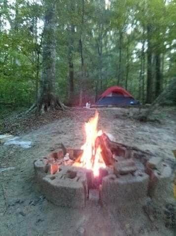 Camper submitted image from Tunica Hills Campground - 4