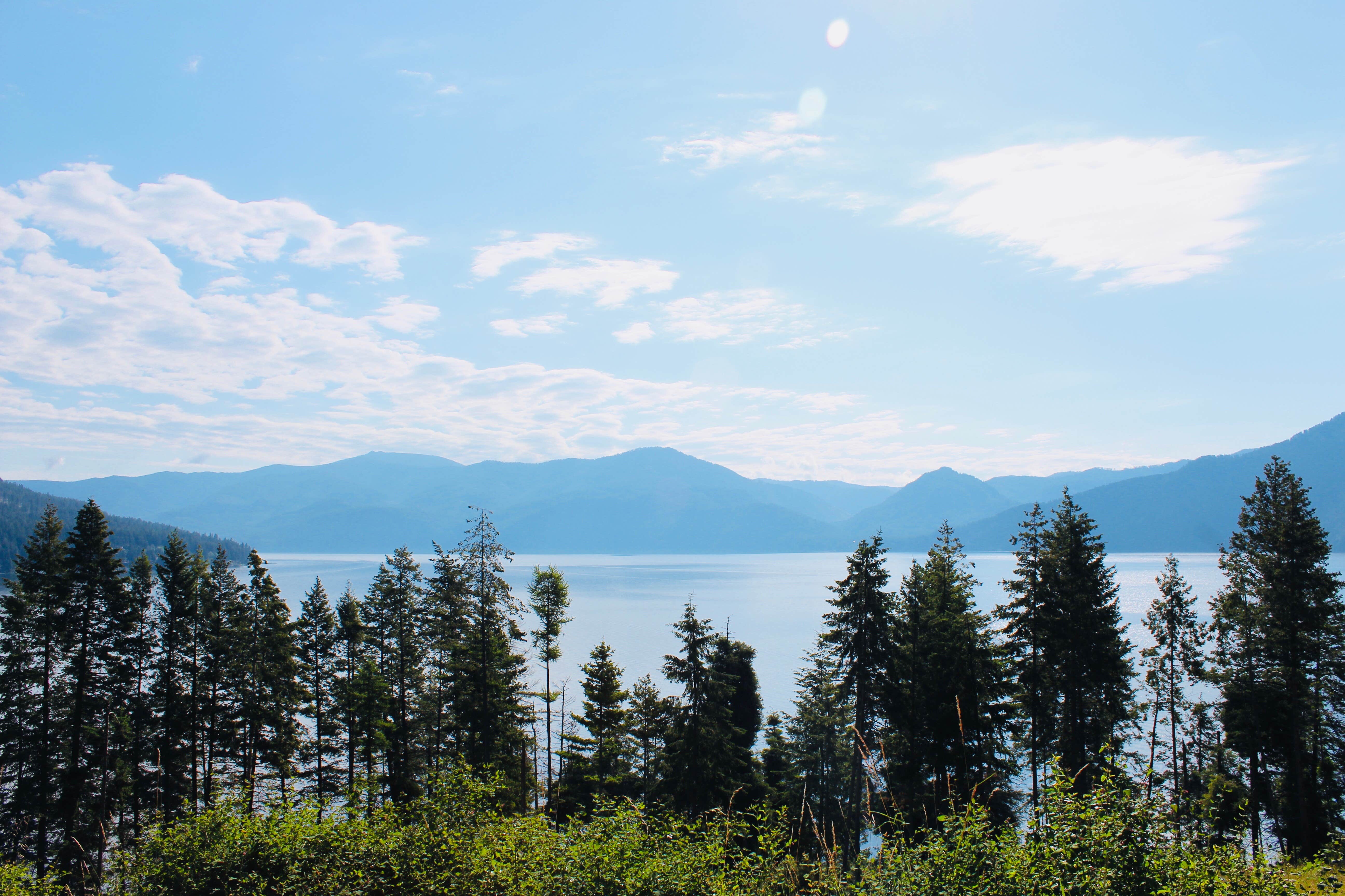 Camper-submitted photo at Whitetail Campground — Farragut State Park near Cocolalla, ID