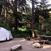 Review photo of Whitetail Campground — Farragut State Park by Zach A., June 25, 2018