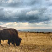 Review photo of Ladyfinger Campground — Antelope Island State Park by Zach A., June 25, 2018