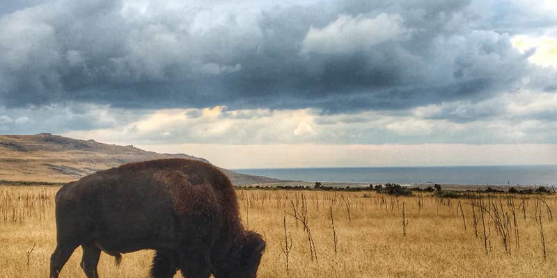 Camper submitted image from Ladyfinger Campground — Antelope Island State Park