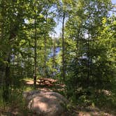 Review photo of Superior National Forest Fall Lake Campground by Janet R., June 25, 2018