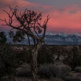 Review photo of Willow Springs Trail by Max B., June 25, 2018