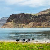 Review photo of McCormack Campground — Lake Owyhee State Park by Max B., June 25, 2018