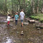 Review photo of Cades Cove Group Campground — Great Smoky Mountains National Park by Hilary B., June 25, 2018