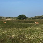 Review photo of Frisco Campground — Cape Hatteras National Seashore by Hilary B., June 25, 2018