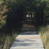 Review photo of Frisco Campground — Cape Hatteras National Seashore by Hilary B., June 25, 2018