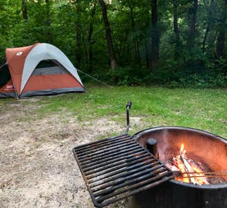 Camper-submitted photo from Crow Wing State Park Campground
