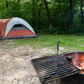 Review photo of Crow Wing State Park Campground by Brian C., June 25, 2018