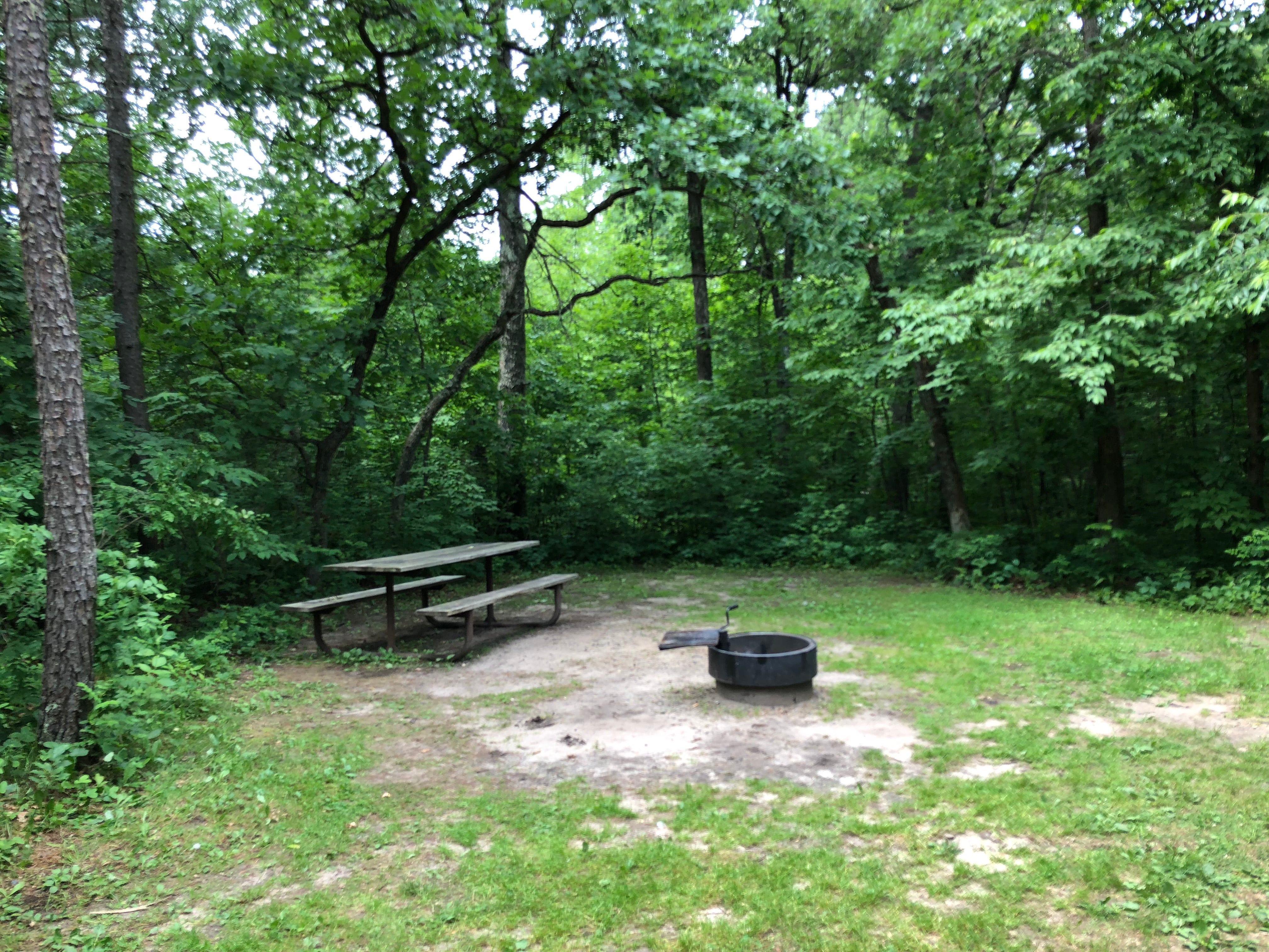 Camper submitted image from Crow Wing State Park Campground - 4
