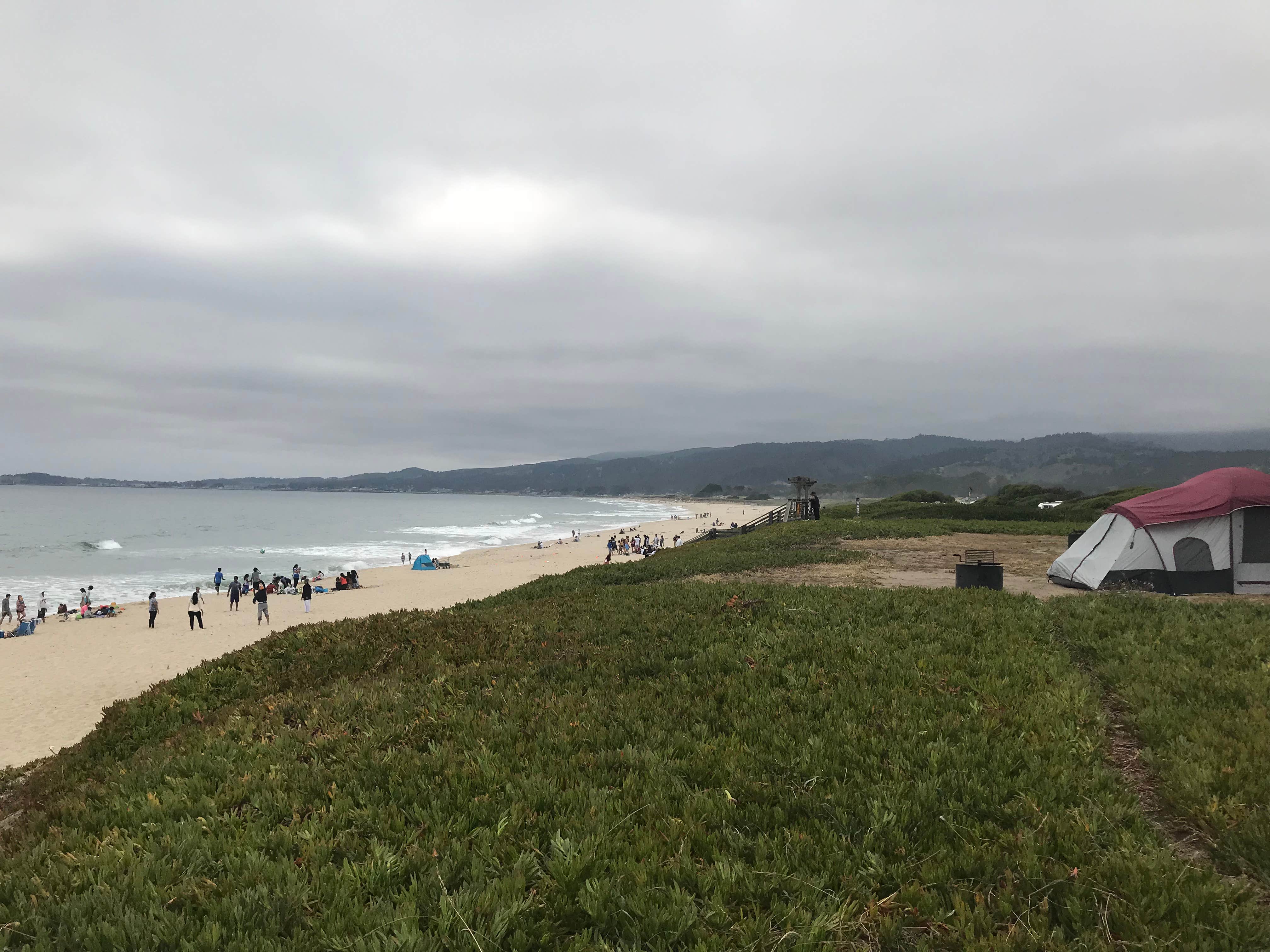 Camper submitted image from Half Moon Bay State Beach Campground - 3