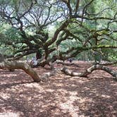 Review photo of Buck Hall Recreation Area by Hilary B., June 25, 2018