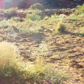 Review photo of Split Top Group Campsite — Canyonlands National Park by Hilary B., June 25, 2018