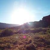 Review photo of Split Top Group Campsite — Canyonlands National Park by Hilary B., June 25, 2018