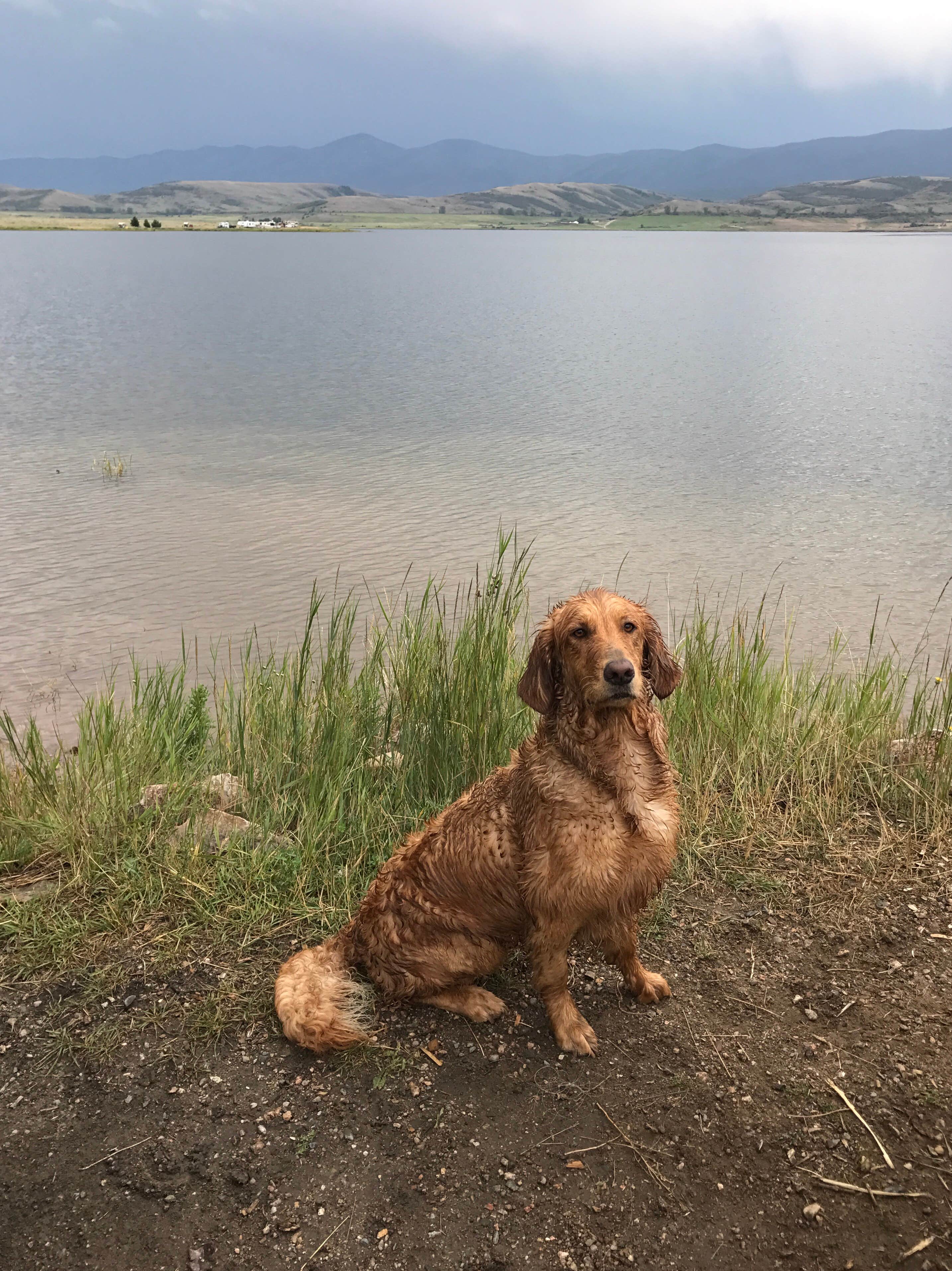 Camper submitted image from Williams Fork Reservoir - 2