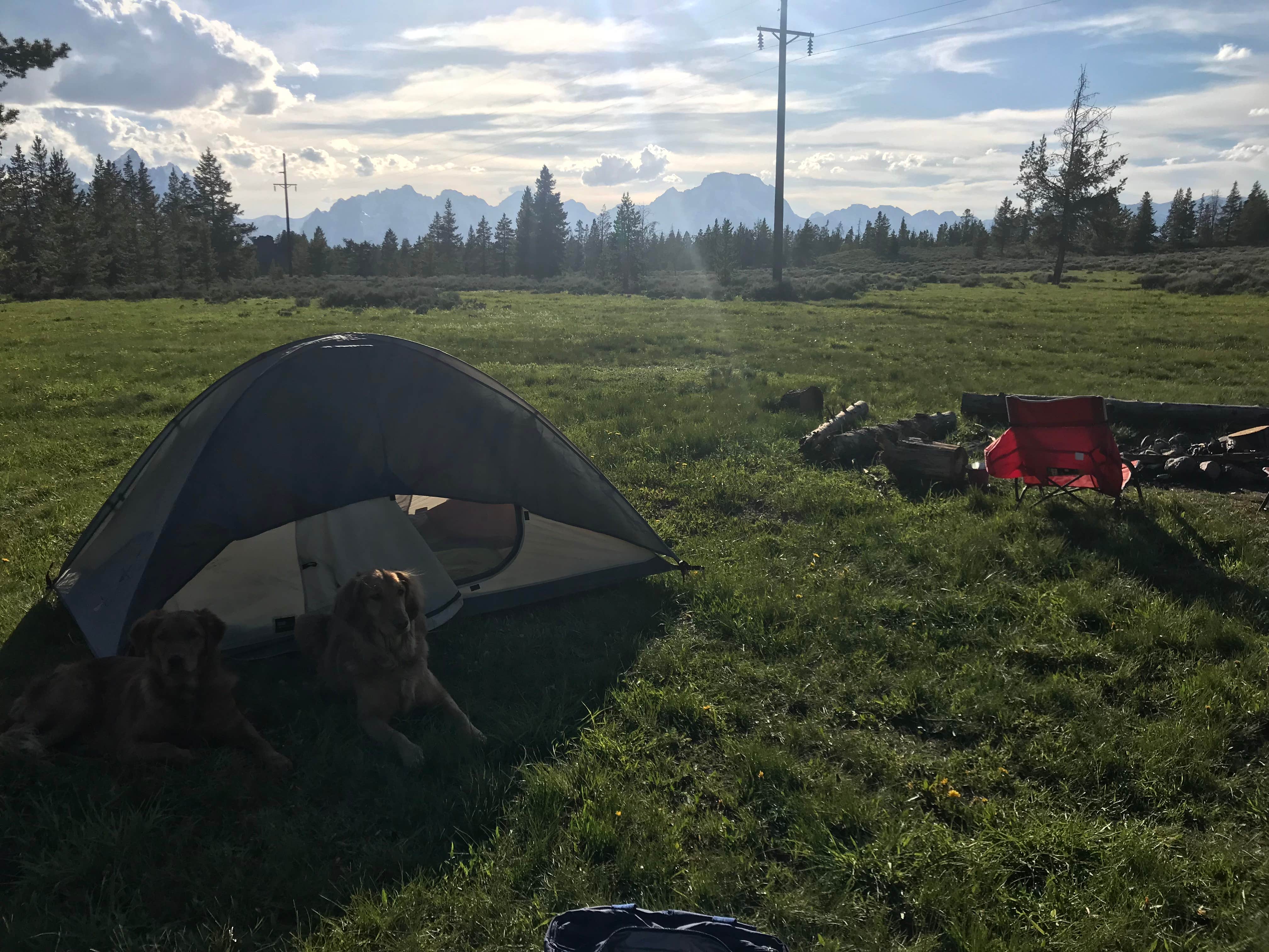 alexa H.'s photo of a dispersed camping area at Bridger-Teton National Forest near Grand Teton National Park