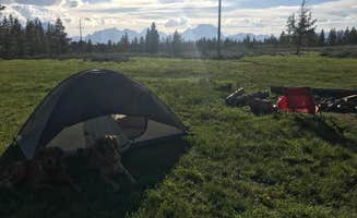 alexa H.'s photo of a dispersed camping area at Bridger-Teton National Forest in Wyoming