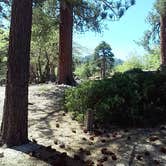 Review photo of Keller Peak Yellow Post Campsites by Sam H., June 3, 2015