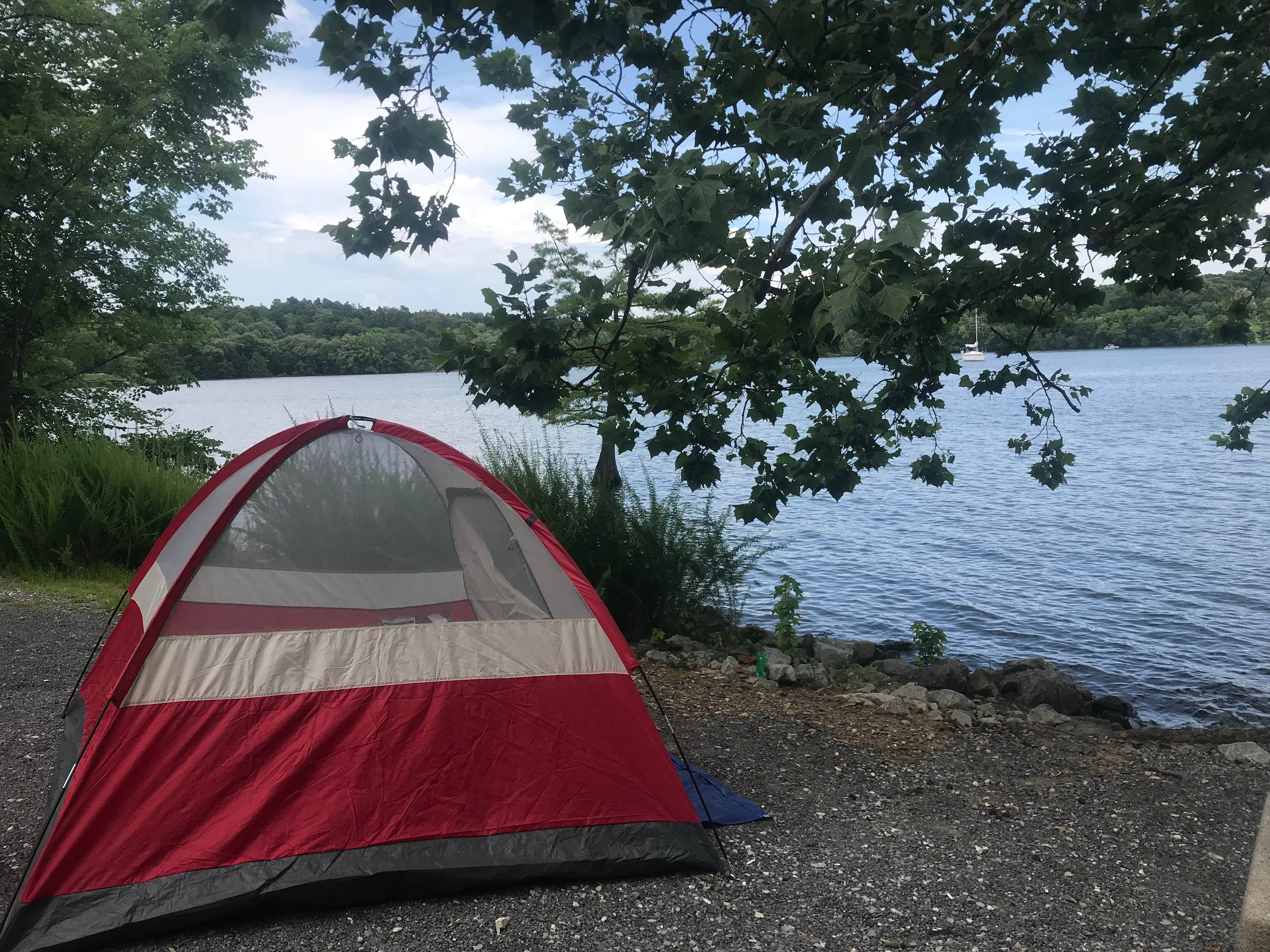 rachel M.'s photo at Hillman Ferry Campground in Kentucky