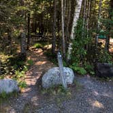 Review photo of Seawall Campground — Acadia National Park by Sybil T., June 25, 2018