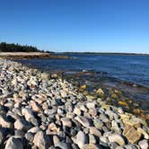 Review photo of Seawall Campground — Acadia National Park by Sybil T., June 25, 2018