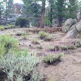 Review photo of Holcomb Valley Climbers Camp by Leslie R., June 25, 2018