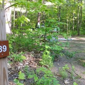 Review photo of Newaygo State Park Campground by R. B., June 25, 2018