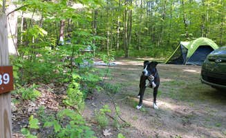 R. B.'s photo at Newaygo State Park Campground near Paris, MI