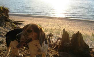 Amy K.'s photo of camping with pets at Twelvemile Beach Campground — Pictured Rocks National Lakeshore near Pictured Rocks National Lakeshore