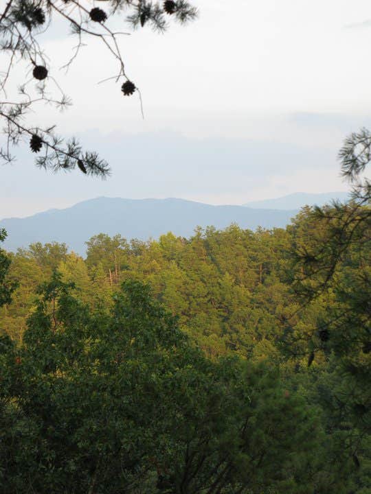 Camper submitted image from Look Rock Campground — Great Smoky Mountains National Park - 2