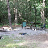 Review photo of Look Rock Campground by Amy K., June 25, 2018