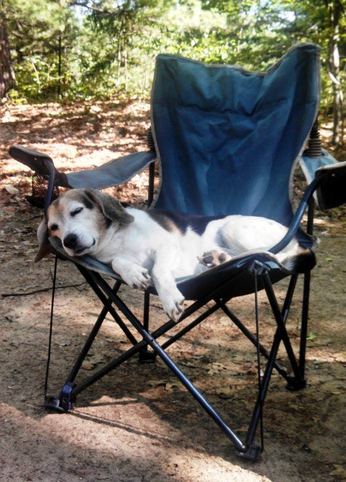 Camper-submitted photo at Otsego Lake State Park Campground near Gaylord, MI