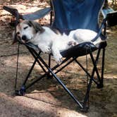 Review photo of Otsego Lake State Park Campground by Amy K., June 25, 2018