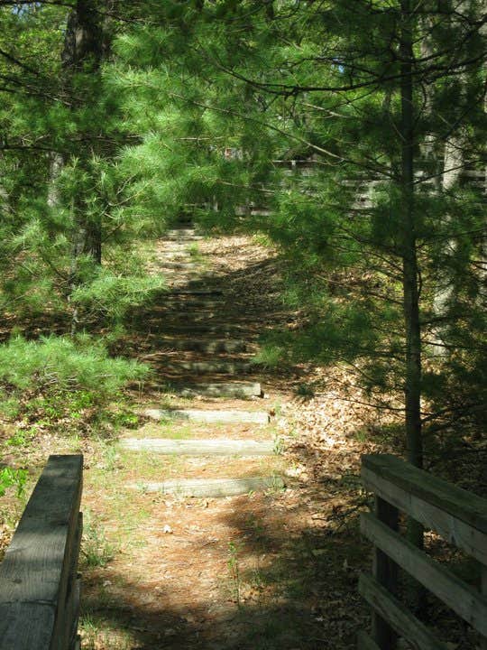 Camper submitted image from Nichols Lake South Campground - 3