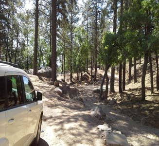 Camper-submitted photo from Hualapai Mountain Park