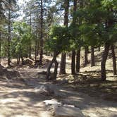 Review photo of Hualapai Mountain Park by Steve R., June 7, 2015